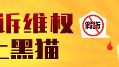 2026年零跑汽车欧洲市场销量：纯电动车型独占鳌头